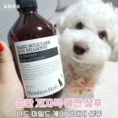 퍼피아유통 | 강아지 샴푸 추천 – 반려견 피부와 털을 위한 최고의 선택