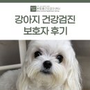 오 동물병원 | 대구 강아지 건강검진 보호자 후기 [달서구동물병원/본동물건강검진영상센터]
