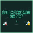 MVP | 초기 비용 50만 원으로 만든 MVP, 그리고 첫 시장 테스트 후기