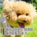 종합운동장 그라운드골프장 | 🐶 제이그라운드 청계점 애견운동장 방문 후기｜강아지랑 뛰어놀기 좋은 곳