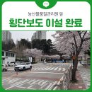 농산물품질관리원 앞 이미지