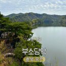 가대문화마을 | 충북 옥천 아이랑 가볼만한곳 대청호 부소담악｜주차 유람선 유모차