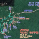 지선상사