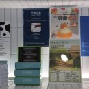 동부타이어카 | 제주도렌트카 운전 고수가 추천하는 제주 드라이브 코스 공개!🌊