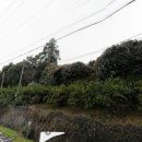 상효동-2 이미지