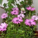 대원보건진료소 이미지