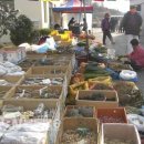 월야시장 이미지