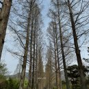 전라남도산림연구원완도수목원 | 나주 산책하기 좋은 곳, 전라남도산림연구원 힐링 나들이 후기