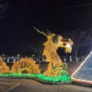 황산공원 서부주차장1번 | 양산나들이 :) 양산가볼만한곳 양산야경 양산데이트 부산근교나들이 황산공원 불빛정원