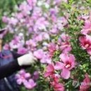 세븐일레븐 경기대점 이미지