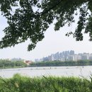 kt위즈파크 스카이존 기아 vs kt경 3루 스카이존 420구역 8열 100,101번시야 직관후기