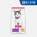 1462 쇼핑하우