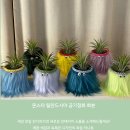 미미국밥 이미지