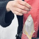서나와할아버지통나무집 이미지