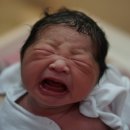 삼촌만두 이미지