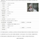 홍익동물병원 이미지