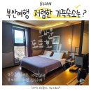 브라운도트호텔(정관점) | 부산 저렴한 숙소 브라운 도트호텔, 음..아이들과 묵어본 솔직후기