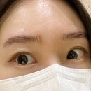 래쉬더로즈 이미지