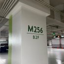 주차42 | 박칼린 최유정 브로드웨이 42번가 후기 | 샤롯데씨어터 주차 꿀팁과 1층 B구역 8열 시야