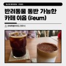 이음캣 | 전주 서완산동 카페 반려동물 동반 가능한 잔잔한 분위기 카페이음