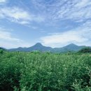 푸른봄한의원 이미지