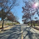 시가지도 이미지