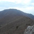 거제갈곶 이미지