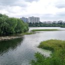 서호공원 이미지