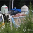 박찬호농장 이미지