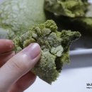 토리 디저트