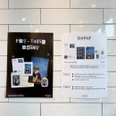 꽃분이네 | 천안 신방동 꽃분이네애견카페 방문 후기