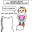 7月 ４週