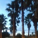 완전농장 이미지