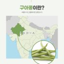 구아 이미지
