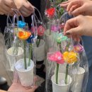 꽃으로 힐링 ** | 제주출강, 꽃으로 전하는 힐링, 복지관 단체 수업 ‘리얼플라워 캔들’ 제작 후기