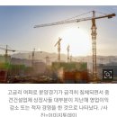 신용 A등급 신세계·태영건설 사실상 '투기 증권' 발행 굴욕 이미지