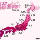 하나미 네이버블로그