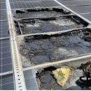 대원 태양광발전소 이미지