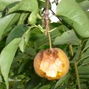 우환농장 이미지