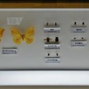 고성자연사박물관 이미지