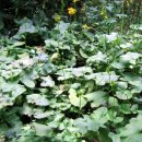 겨레농장 이미지