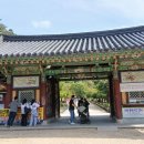 순천과 영월의 추억 이미지