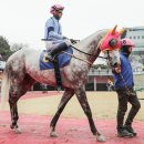 라온랜드(주) 이미지
