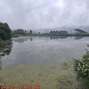 숙직골못 Daum카페