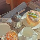 식만로 | 🌿 강서구 카페 추천! 감성 가득한 강아지동반헐스카페 방문 후기 🍰☕