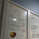 행복한 백호 태권도 이미지