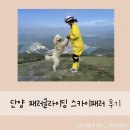 단양 패러글라이딩 스카이패러 실제후기｜인생샷 체험