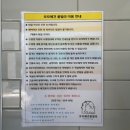 모모애견풀빌라 이미지
