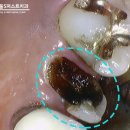 서울에스(S)퍼스트치과의원 이미지