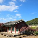 김필태 농장 네이버블로그